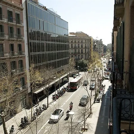 Agua Alegre Barcelona